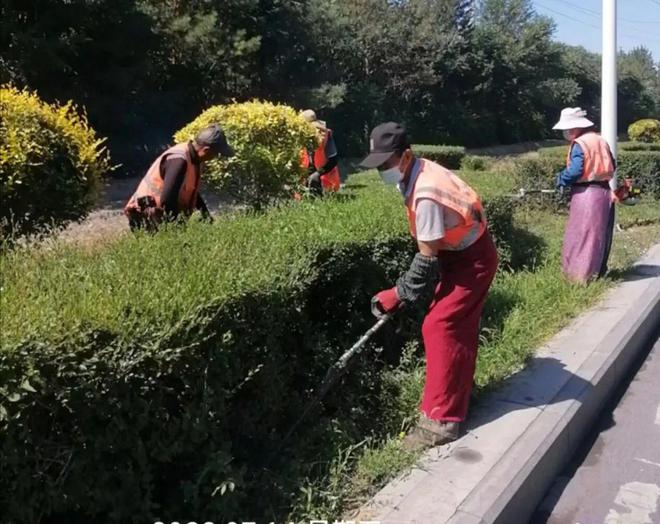 开云体育 开云官网强举措提质效 绿化养护当夏忙(图2)