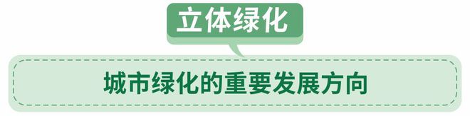 开云体育 Kaiyun.com 官网入口立体绿化：“绣”出城市绿色新景观(图6)