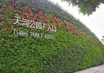 开云体育 Kaiyun.com 官网入口立体绿化：“绣”出城市绿色新景观(图1)