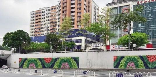 开云体育 Kaiyun.com 官网入口立体绿化：“绣”出城市绿色新景观(图5)
