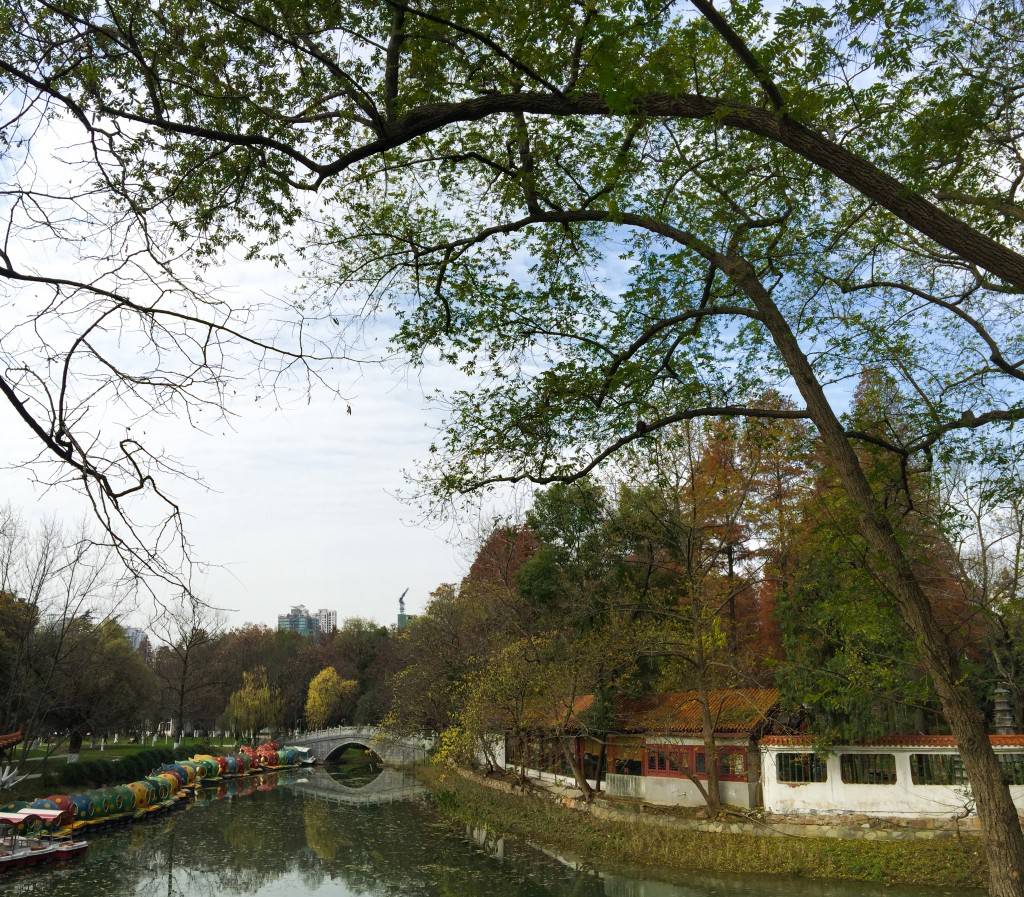 江城园林开云体育 开云平台绿化_管理_平台_招商(图2)