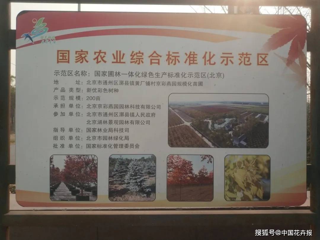 开云体育 Kaiyun.com 官网入口28项行业标准198项地方标准助推北京园林绿化高质量发展(图2)