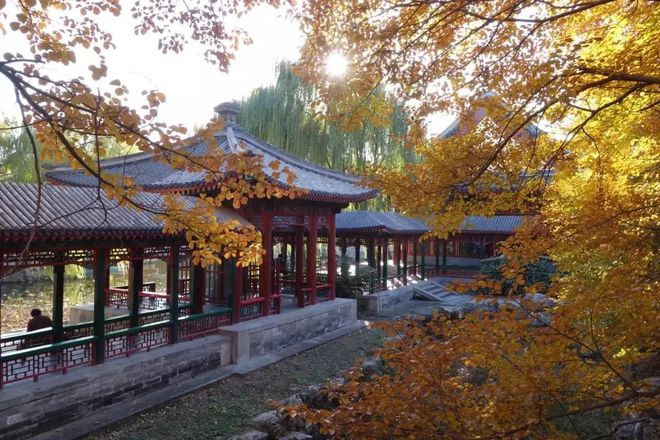 开云体育 开云官网风景园林设计中如何体现人性化设计(图11)