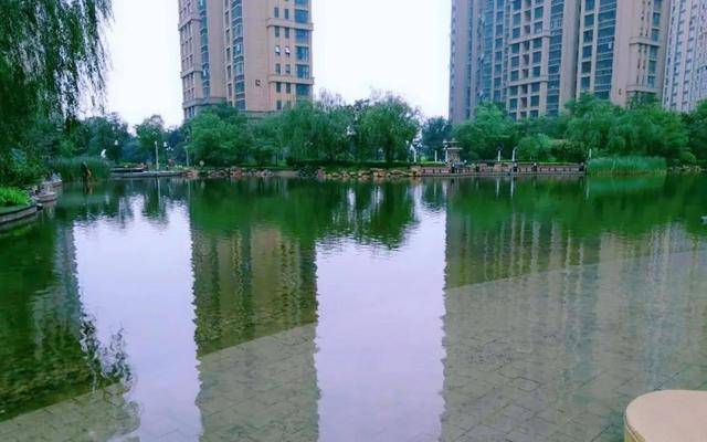 河北绿化智能网——绿化开云 开云体育官网环境改善生态。(图5)