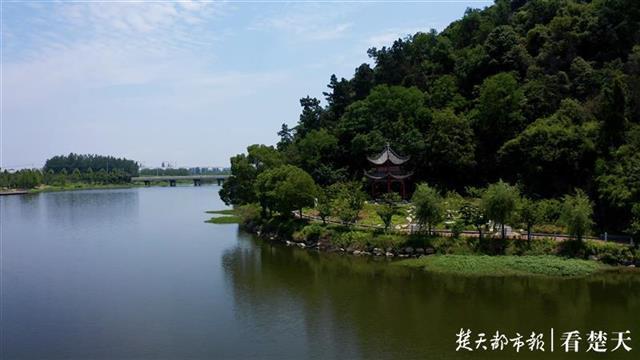 武汉开云体育 开云官网园建上榜“2020中国城市园林绿化企业50强”(图4)