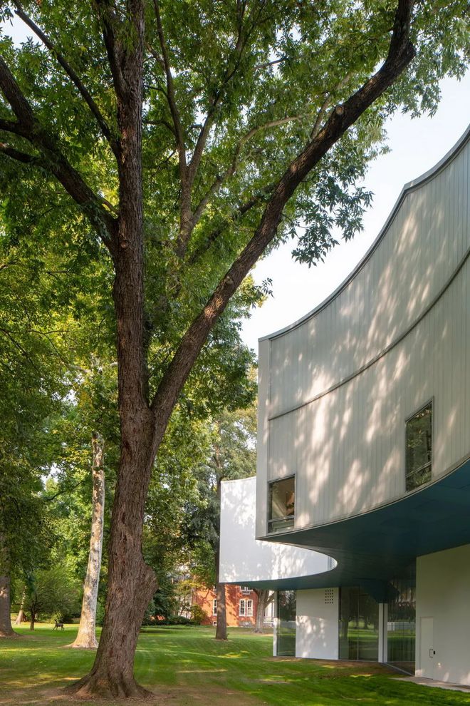 Kaiyun 开云Steven Holl 新作 树形几何艺术中心(图4)