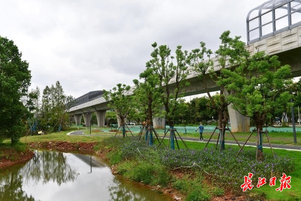 地铁线还是公园？将通车的这条地铁一绿到底开云 开云体育官网(图4)