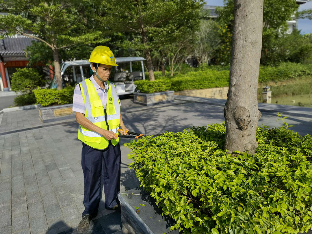 园林绿化养护的基本工作内容有哪些？开云 开云体育平台(图1)