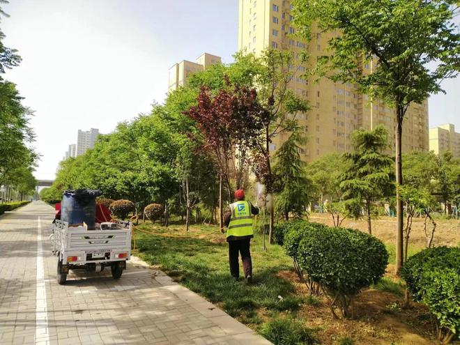 开云 开云体育官网绿化养护大作战守护夏日一抹绿(图2)