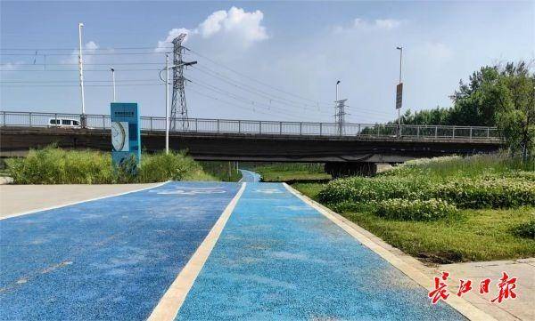 常青树木配樱花市民为长江新区道路画了幅效果图开云APP 开云官网入口(图4)