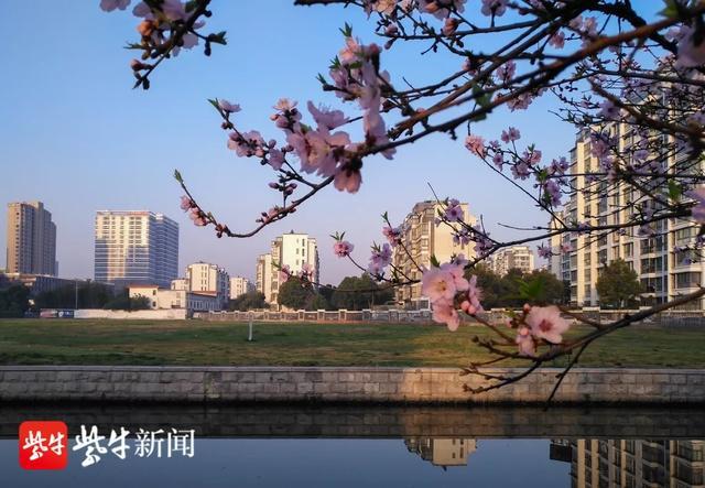开云体育 开云平台苏州合景峰汇5、6期沿河岸边打造一条滨水绿化长廊 效果图曝光(图1)