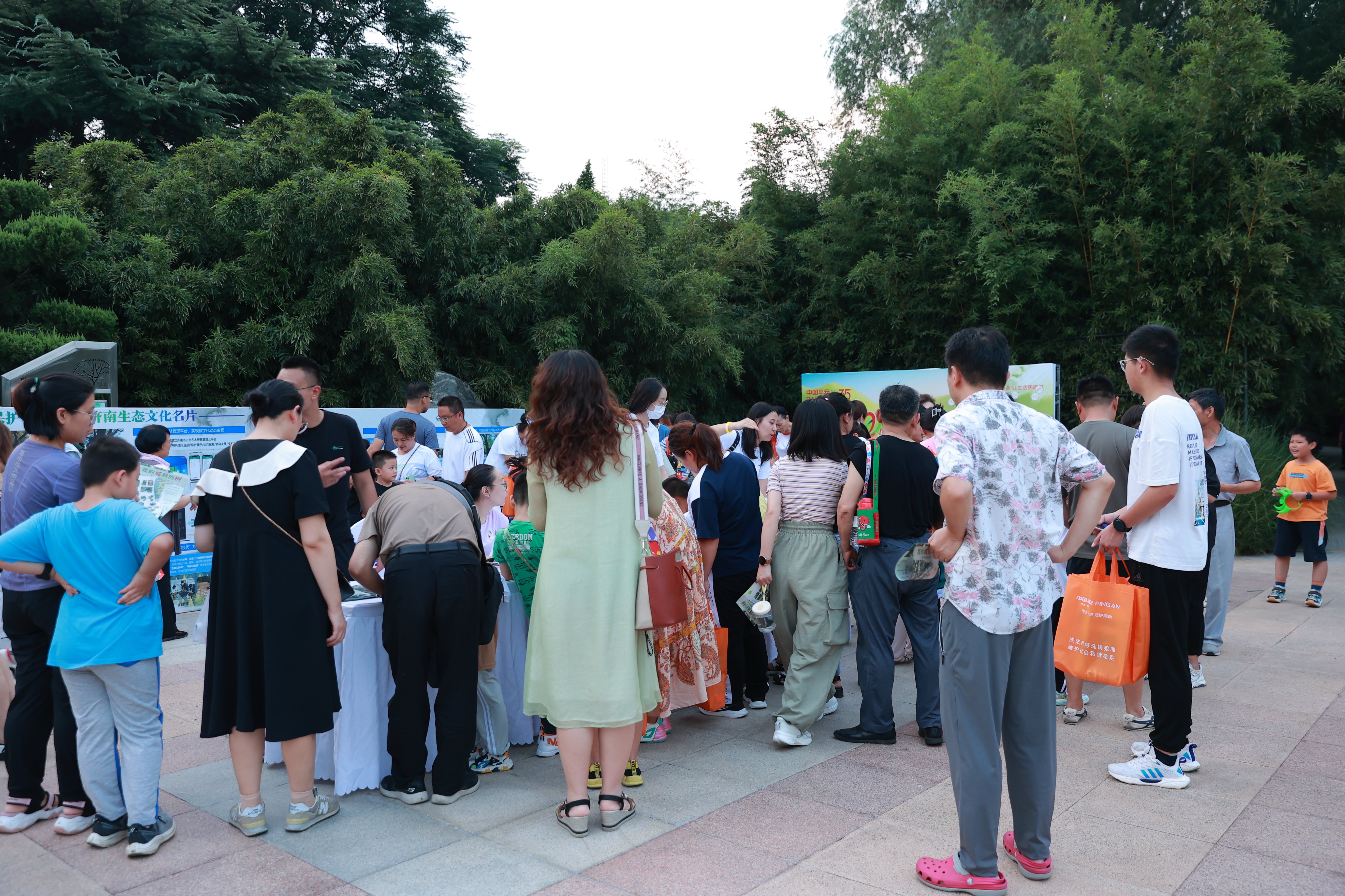 开云 开云体育平台厚植增绿护绿理念 擦亮生态文明底色 济南市园林和林业绿化局开展古树名木科普宣传活动(图1)