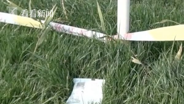 每人10元！网红草坪收费一天后闭门谢客 承包者：私人草坪开云 开云体育官网(图3)