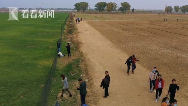 每人10元！网红草坪收费一天后闭门谢客 承包者：私人草坪开云 开云体育官网(图5)