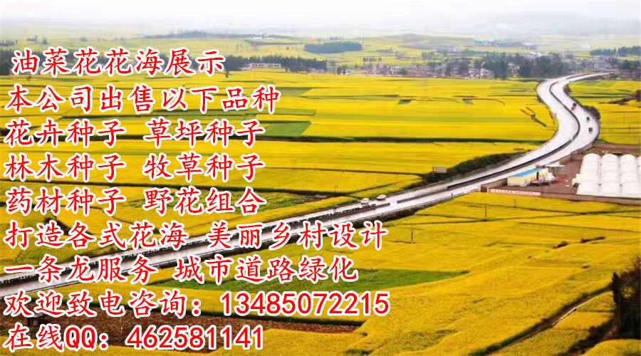 建设镇庭院绿化规划设计详情开云 开云体育官网(图2)