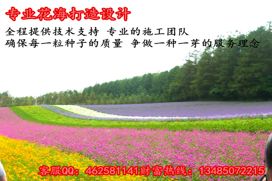 建设镇庭院绿化规划设计详情开云 开云体育官网(图3)