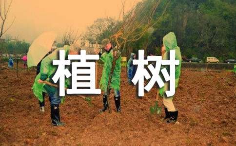 开云 开云体育平台绿化植树方案(图1)