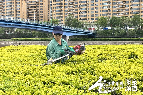 打好养护“组合拳” 做足精细“绣花功”——阳泉市园林管理处多措并举推进园林绿化工作精细化发展开云体育 开云平台(图1)