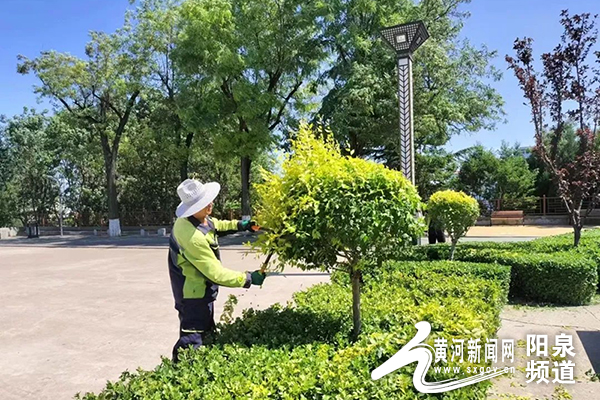 打好养护“组合拳” 做足精细“绣花功”——阳泉市园林管理处多措并举推进园林绿化工作精细化发展开云体育 开云平台(图4)