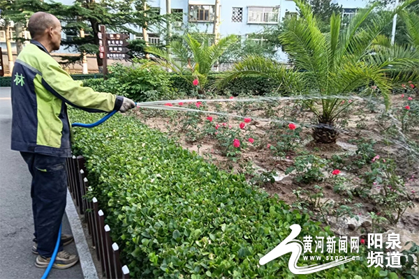 打好养护“组合拳” 做足精细“绣花功”——阳泉市园林管理处多措并举推进园林绿化工作精细化发展开云体育 开云平台(图5)