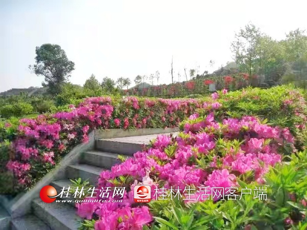凤凰山陵园：倡导人与自开云 开云体育官网然和谐的园林模式(图3)
