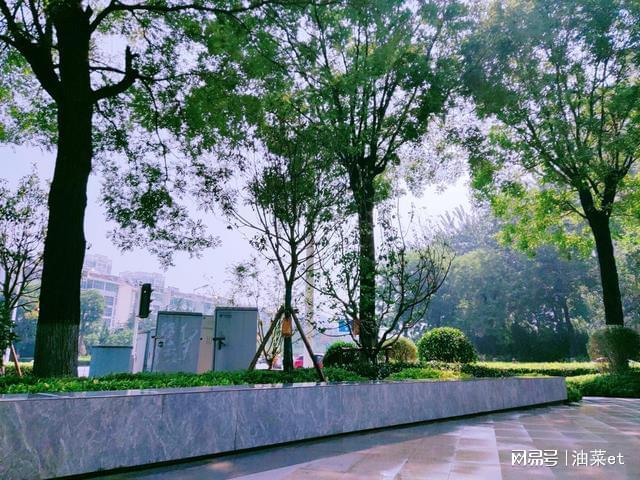 开云体育 Kaiyun.com 官网入口共建共享的城市绿色“微空间”来啦(图2)