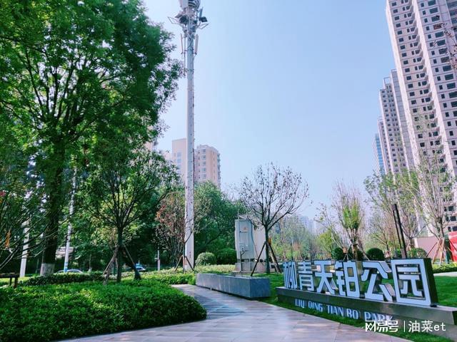 开云体育 Kaiyun.com 官网入口共建共享的城市绿色“微空间”来啦(图1)