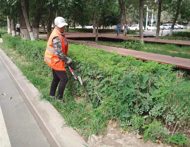 强开云体育 开云官网化绿化养护  扮靓城市风景(图2)