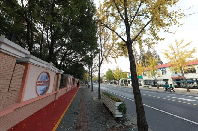 惊艳！泉口路新增6大景观美图先睹为快开云APP 开云官网入口！(图6)