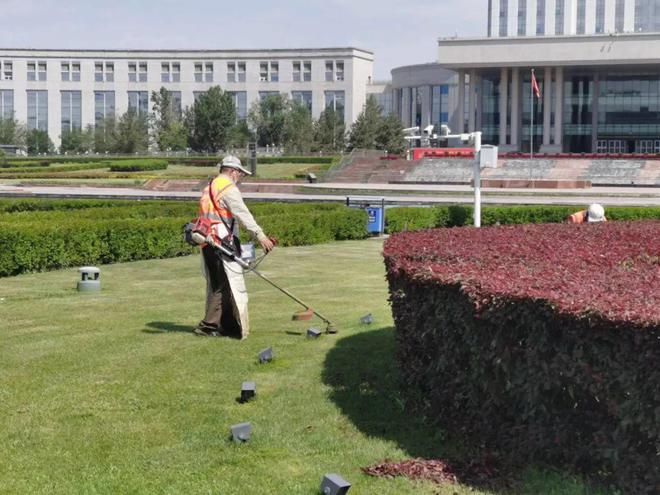 开云 开云体育官网做好夏季绿化管护 提升园林景观效果(图2)