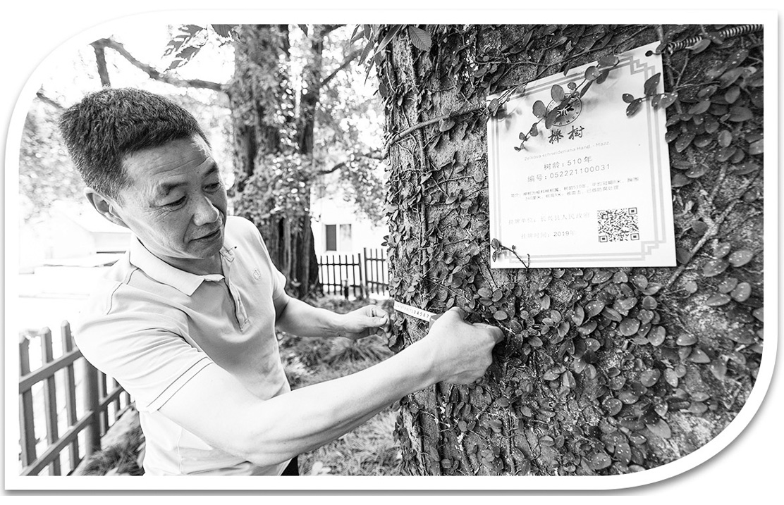 “山水城市”拥抱开云体育 开云官网诗和远方——多地推进城市绿化建设观察(图2)