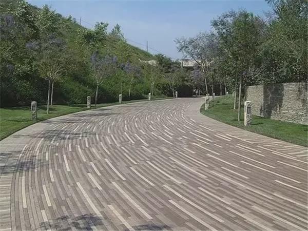 园林市场对这4类苗木需求量开云 开云体育官网可观你家有吗？(图4)