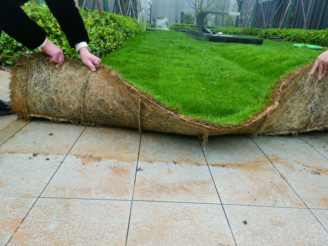 植树节才种树？宝鸡这些高绿化小区根本用不着！开云APP 开云官网入口(图2)