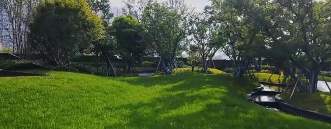 植树节才种树？宝鸡这些高绿化小区根本用不着！开云APP 开云官网入口(图6)
