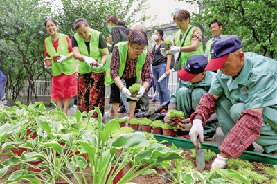 接诉即办“每月一题”Kaiyun 开云助小区古树复壮(图1)