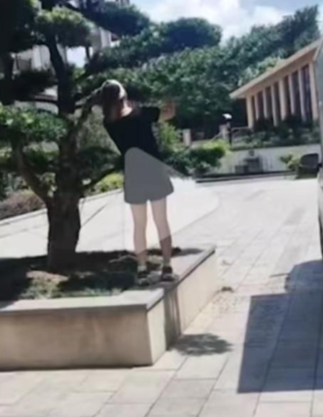 女子撞断校内绿化树枝被索赔8000元业内人士：罗汉松价格高撞掉一根枝影开云体育 开云官网响整体美观(图1)