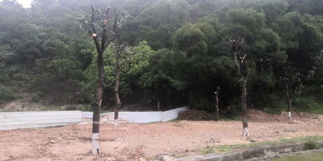 开云体育 开云平台惠安县城区道路沥青化改造和景观提升工程效果图出炉(图2)