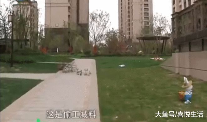 开云体育 开云官网距离交房只有一个月小区绿化不太绿业主：全冠移植的树呢？(图3)
