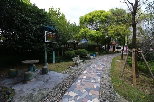 开云 开云体育平台【SUSAS学院】分享 社区微更新的彩色魔法——长桥街道汇成新村和体育花苑(图12)