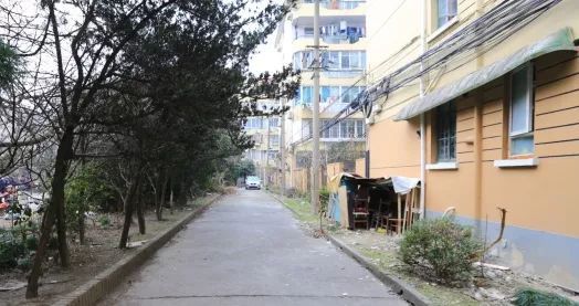 开云 开云体育平台【SUSAS学院】分享 社区微更新的彩色魔法——长桥街道汇成新村和体育花苑(图8)