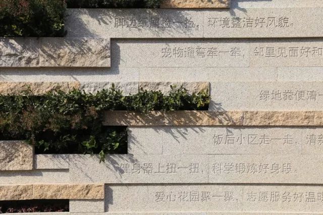 开云 开云体育平台【SUSAS学院】分享 社区微更新的彩色魔法——长桥街道汇成新村和体育花苑(图17)