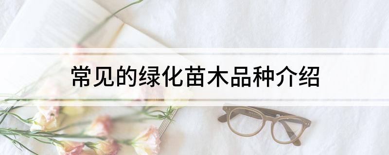开云体育 Kaiyun.com 官网入口常见的绿化苗木品种介绍(图1)