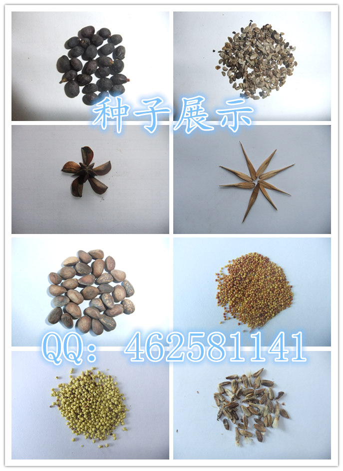 市北区庭院绿化规划设计详情开云体育 Kaiyun.com 官网入口(图2)