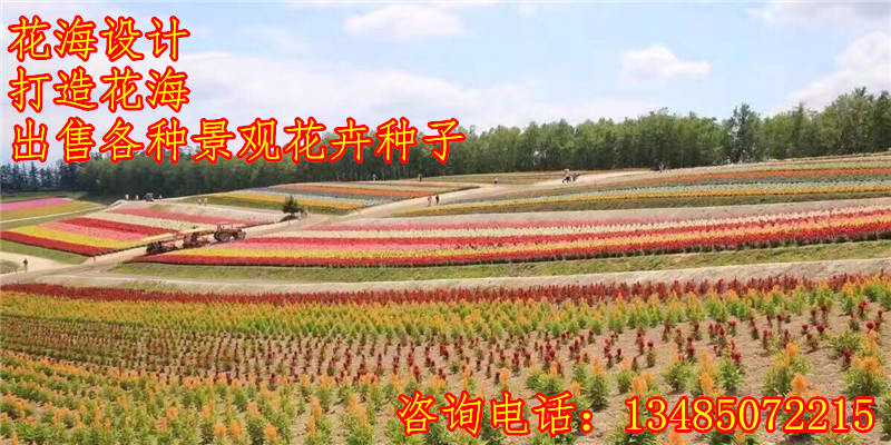 市北区庭院绿化规划设计详情开云体育 Kaiyun.com 官网入口(图3)