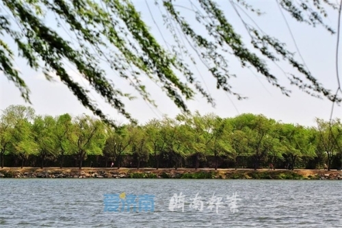 开云 开云体育官网市园林和林业绿化局：扮靓“济南花城”打造最美“网红路”《爱济南(图3)