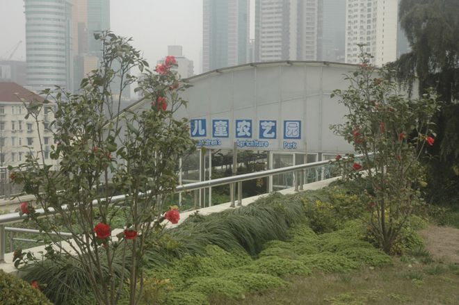 超赞！在楼房顶上打造一个“天空农场”开云APP 开云官网入口(图6)