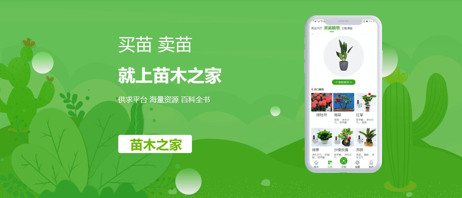 买苗卖开云体育 开云官网苗就上苗木之家一站式园林行业综合交易服务平台(图1)