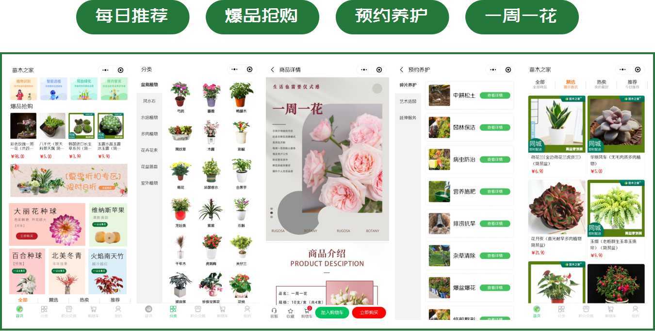 买苗卖开云体育 开云官网苗就上苗木之家一站式园林行业综合交易服务平台(图3)