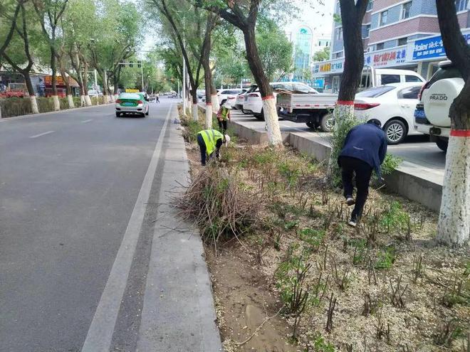 园林开云 开云体育平台绿化养护中心提升精细化养护水平 美化市容环境(图1)