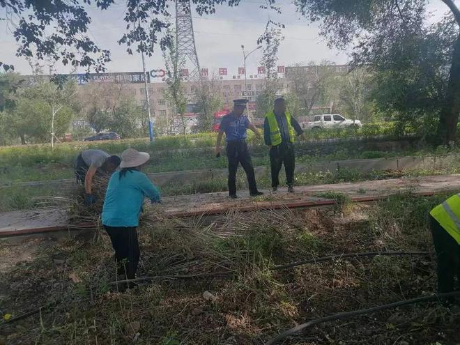 园林开云 开云体育平台绿化养护中心提升精细化养护水平 美化市容环境(图4)